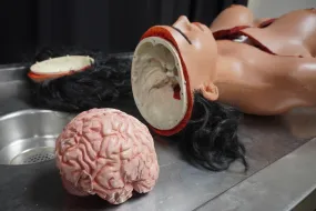 Autopsy Jessica with Removable Skull Cap and Brain