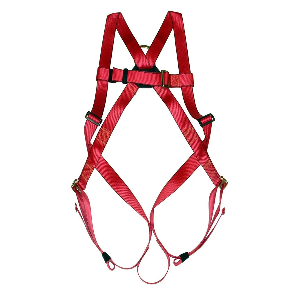 Basic Full Body Harness